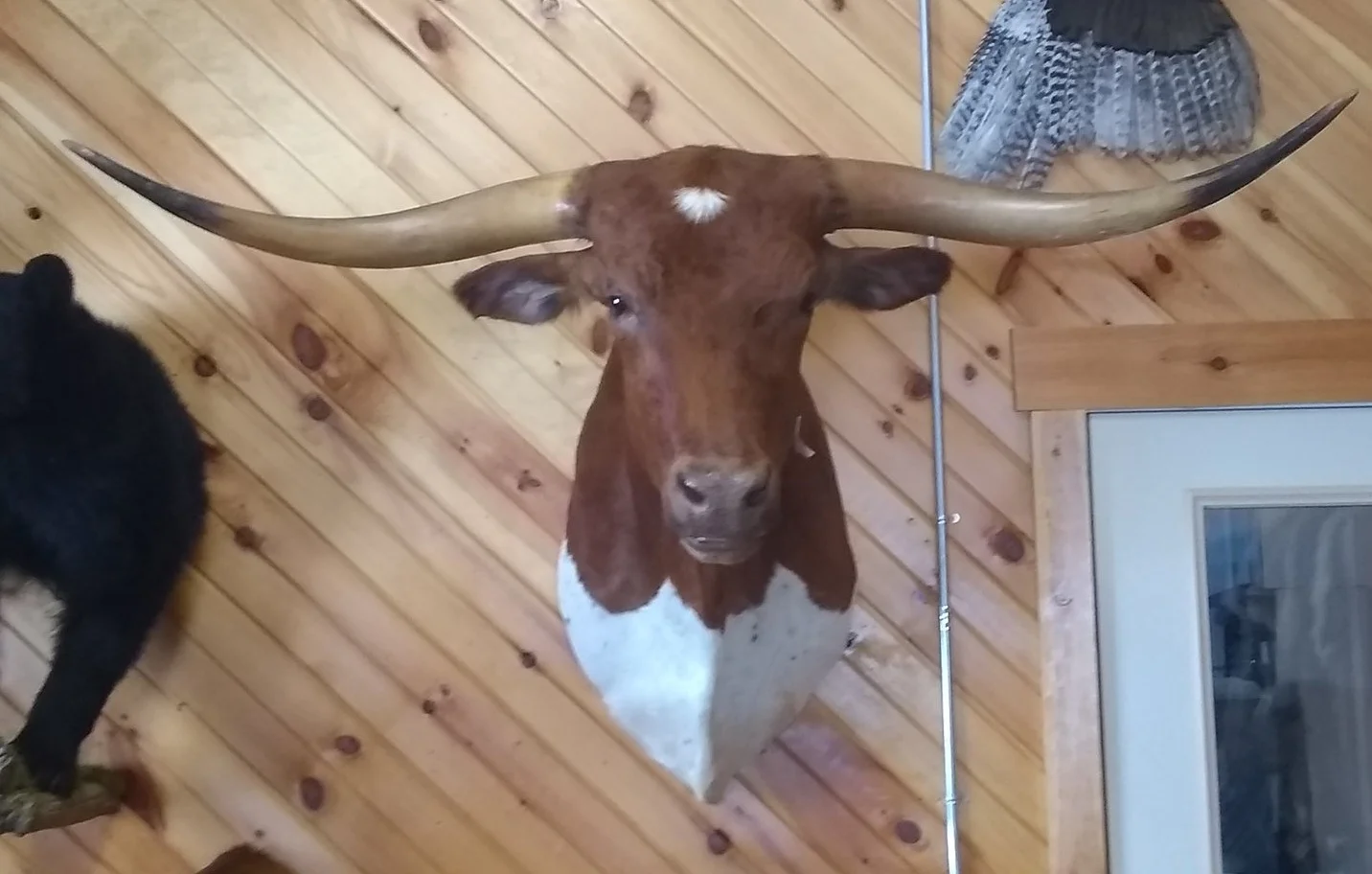 Commercial concrete construction services in Mount Calm, TX